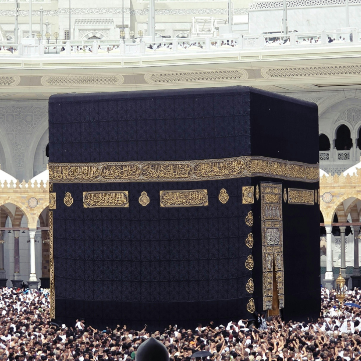 Taqwa Tours