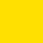 Dgcseo Web