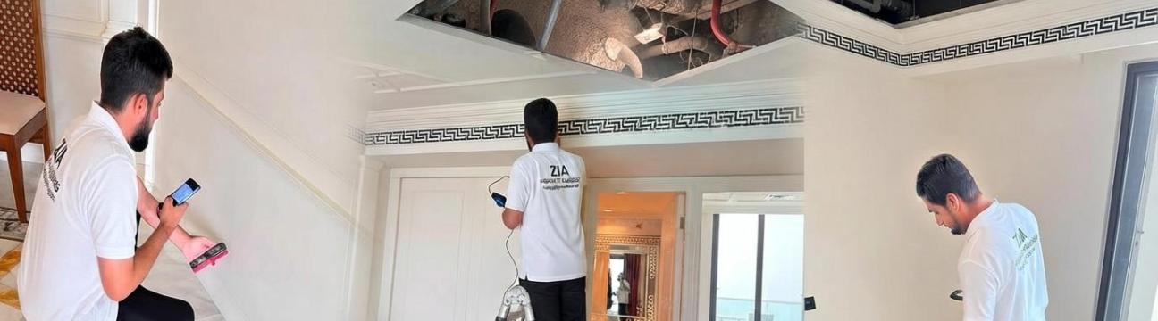 Building  Inspector